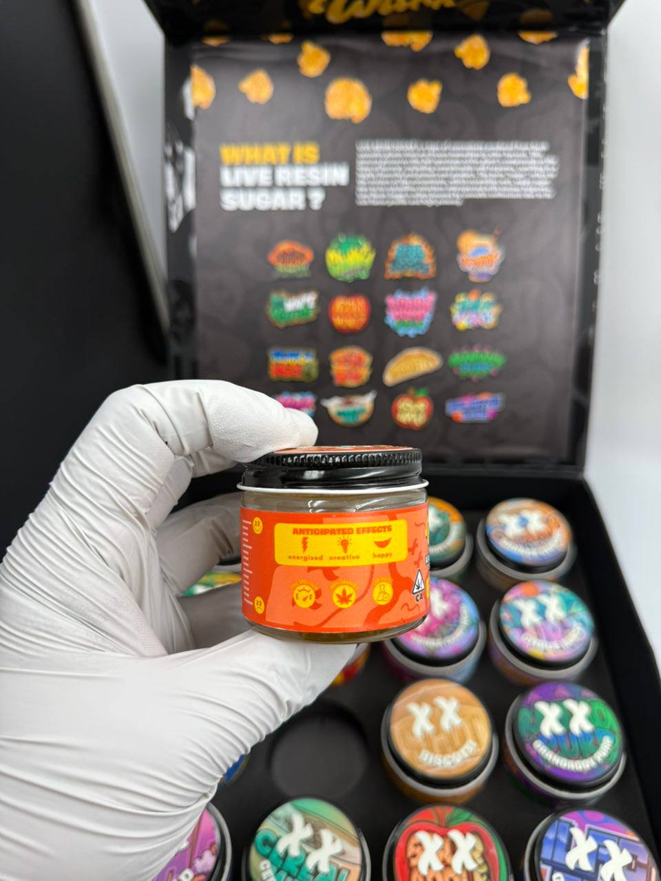 Home Photo 2026 02 09 04 48 55