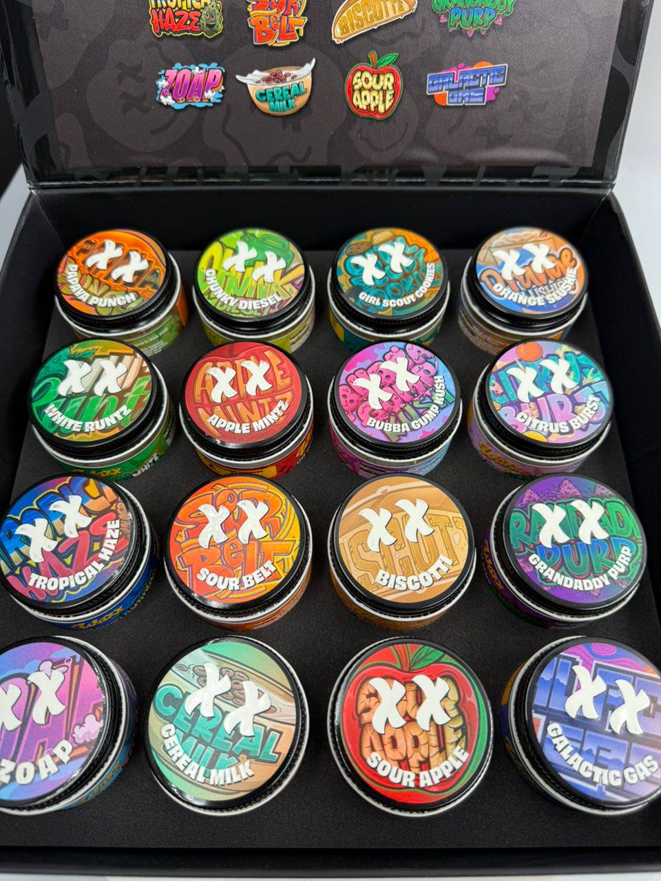 Home Photo 2026 02 09 04 49 20